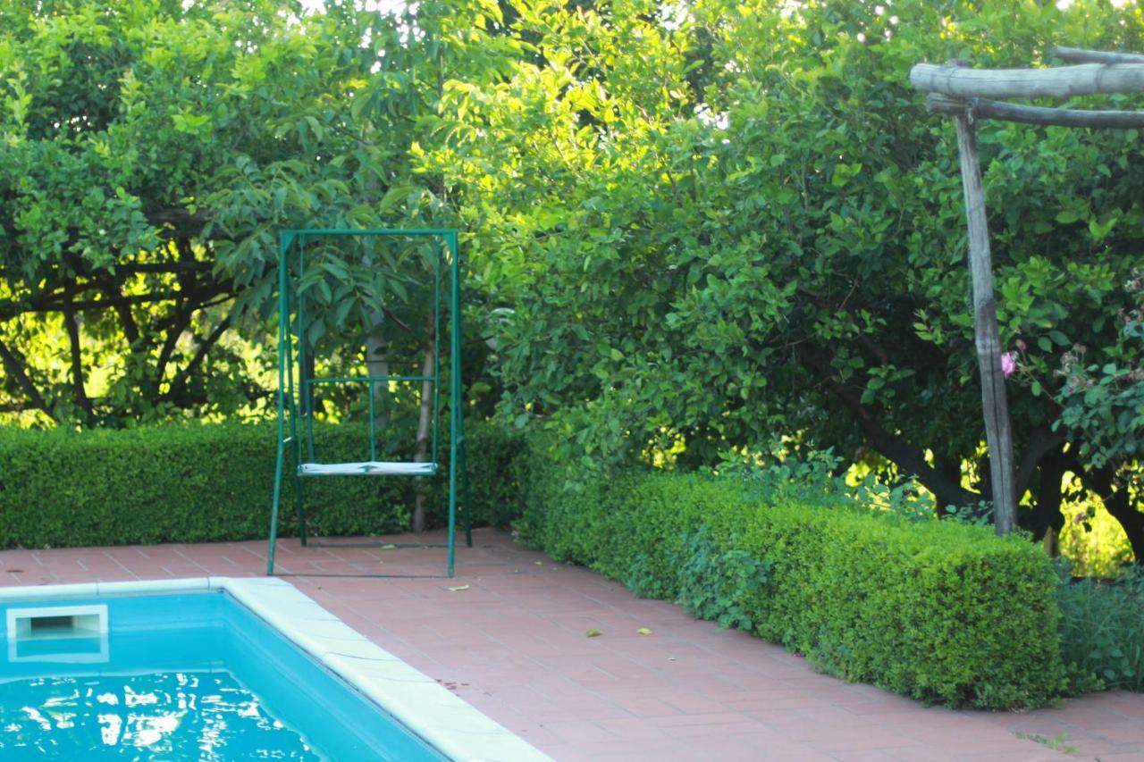 Desiderio D'Ammore Villa Corbara  Exterior foto