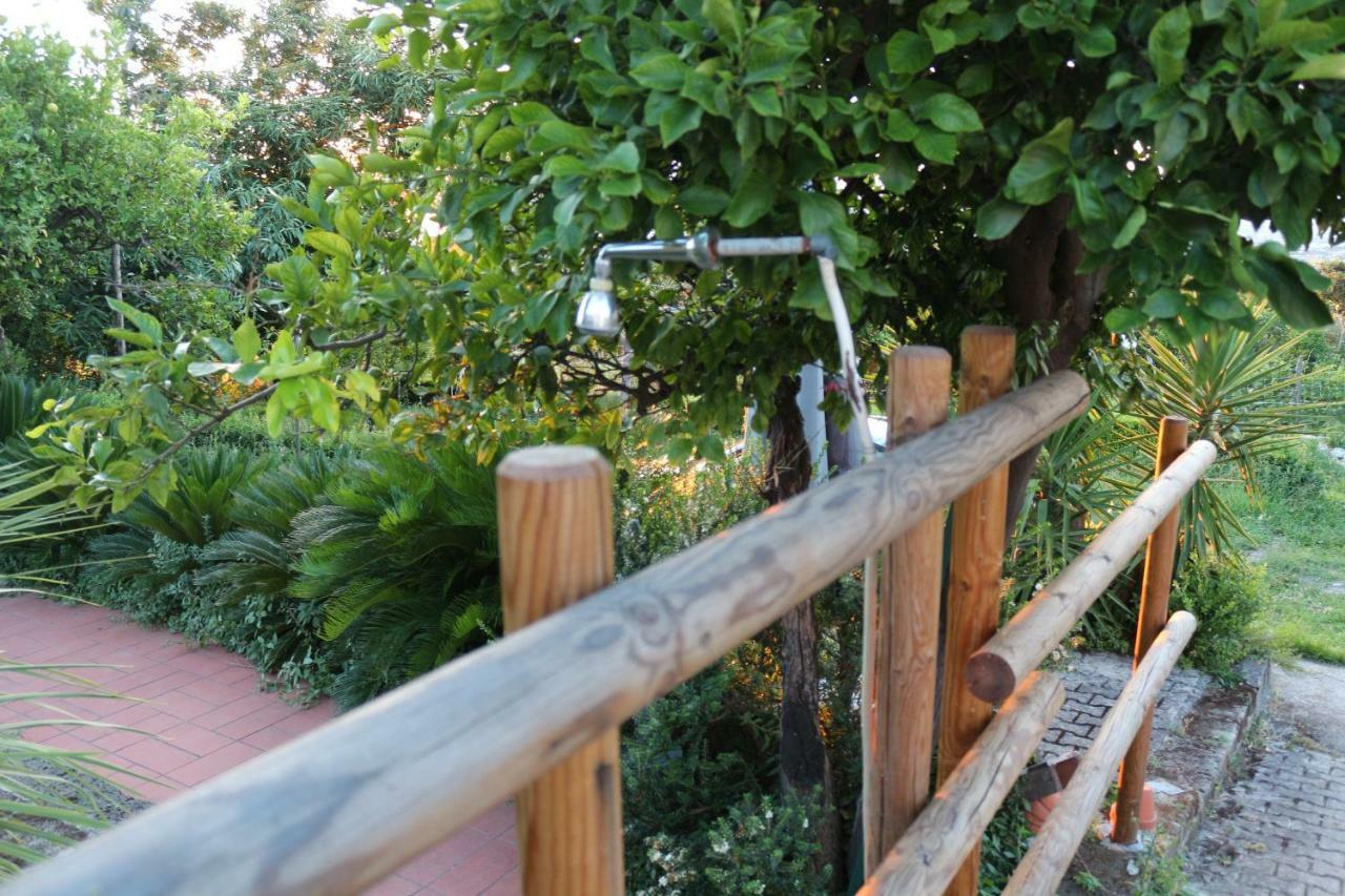 Desiderio D'Ammore Villa Corbara  Exterior foto