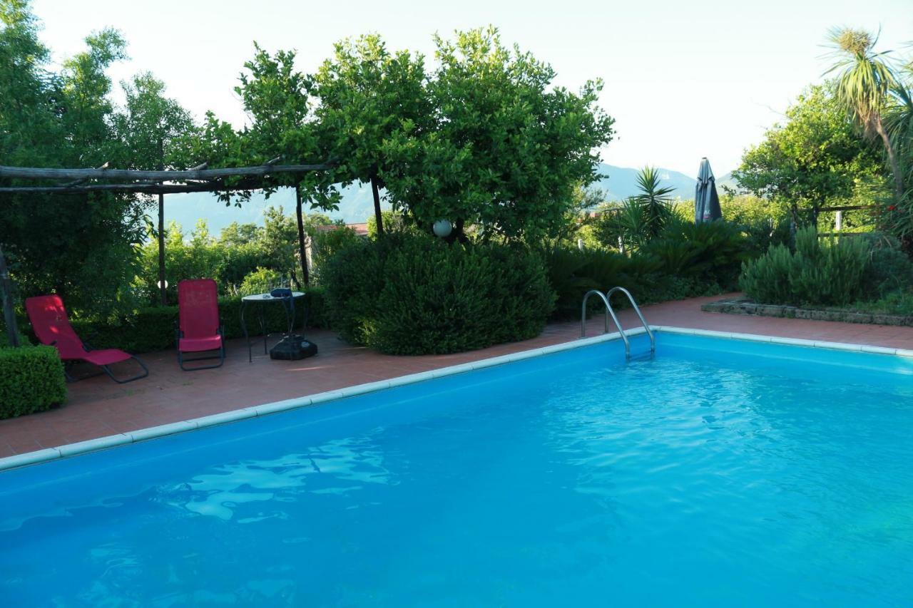 Desiderio D'Ammore Villa Corbara  Exterior foto