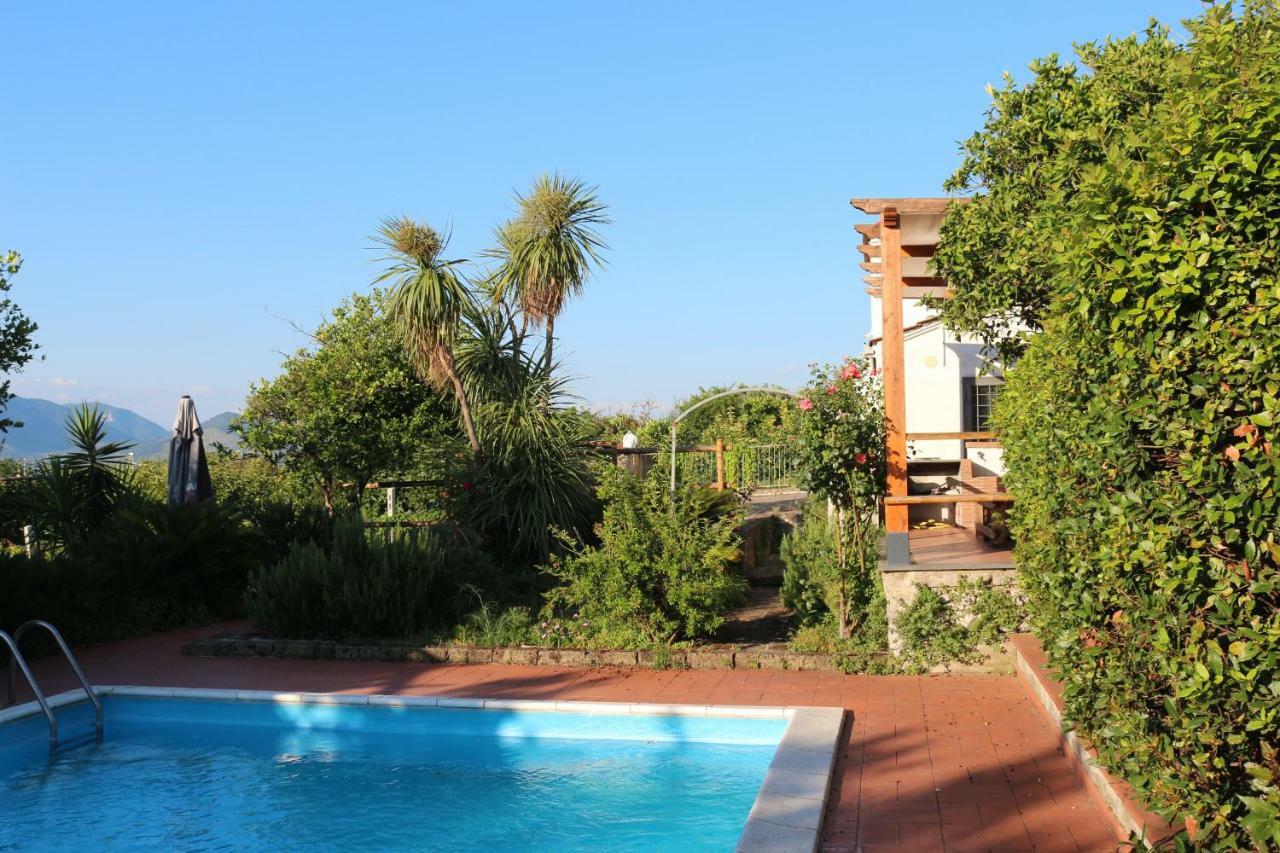 Desiderio D'Ammore Villa Corbara  Exterior foto
