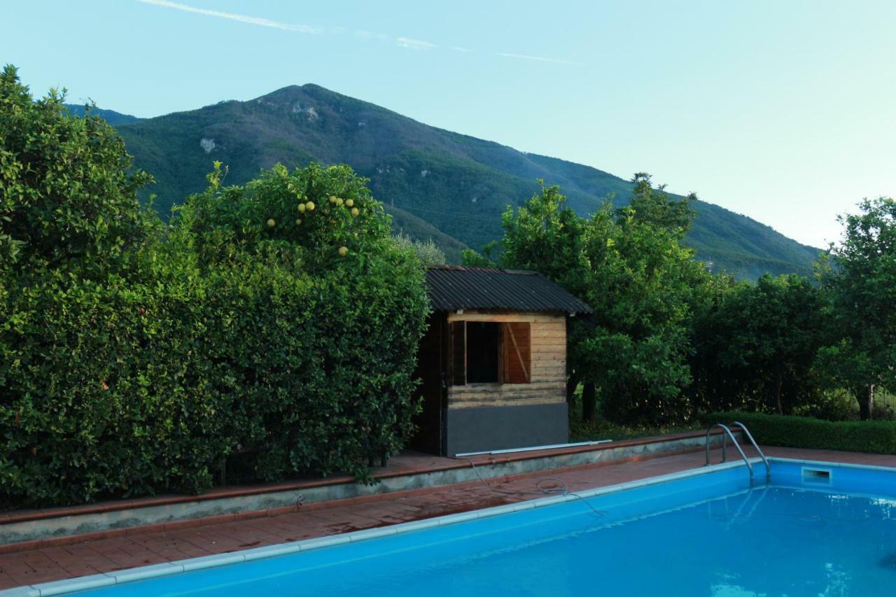 Desiderio D'Ammore Villa Corbara  Exterior foto
