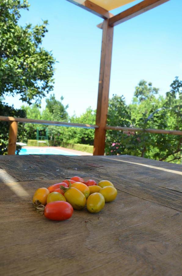 Desiderio D'Ammore Villa Corbara  Exterior foto