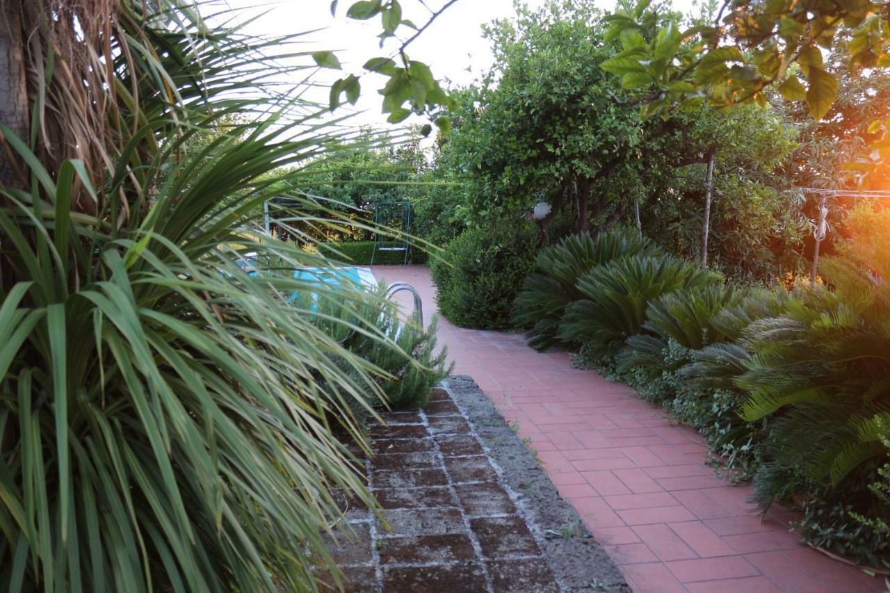 Desiderio D'Ammore Villa Corbara  Exterior foto
