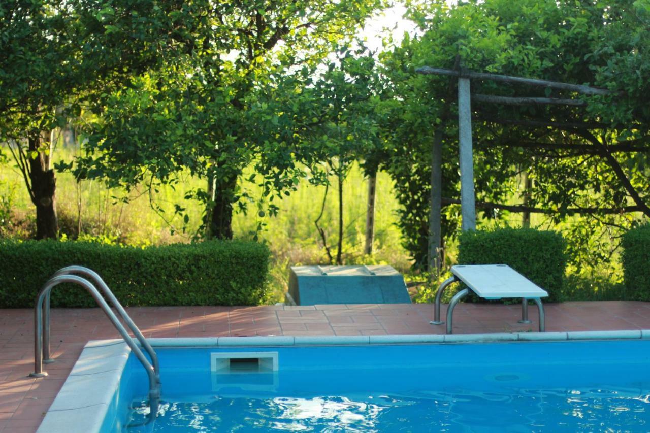 Desiderio D'Ammore Villa Corbara  Exterior foto